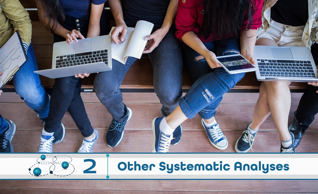 Level 2: Other Systematic Analysis