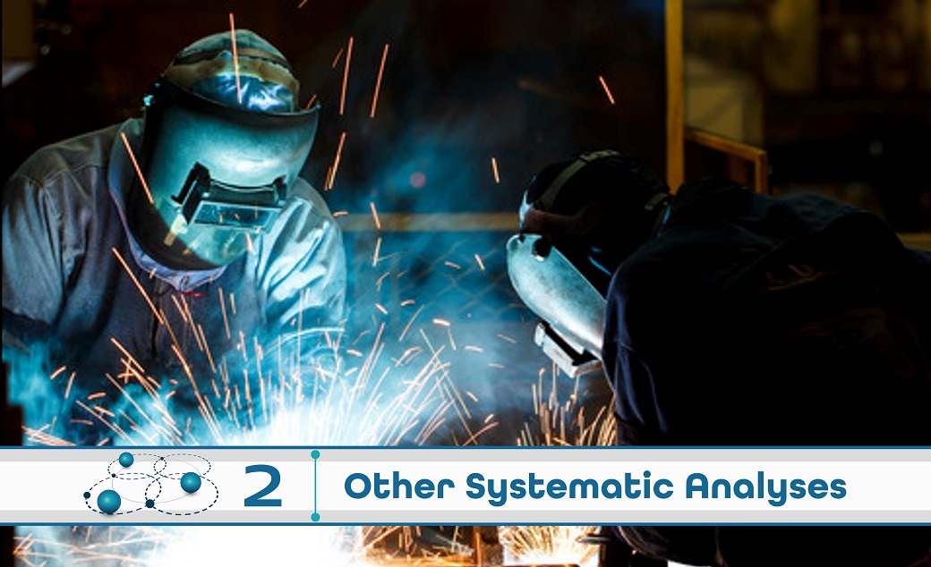 Level 2: Other Systematic Analysis