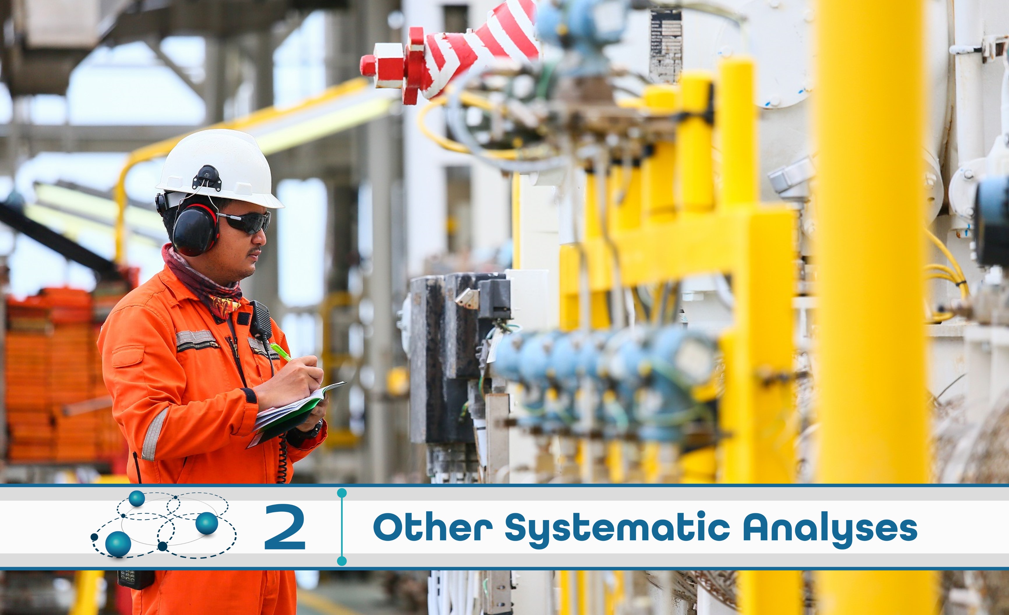 Level 2: Other Systematic Analysis