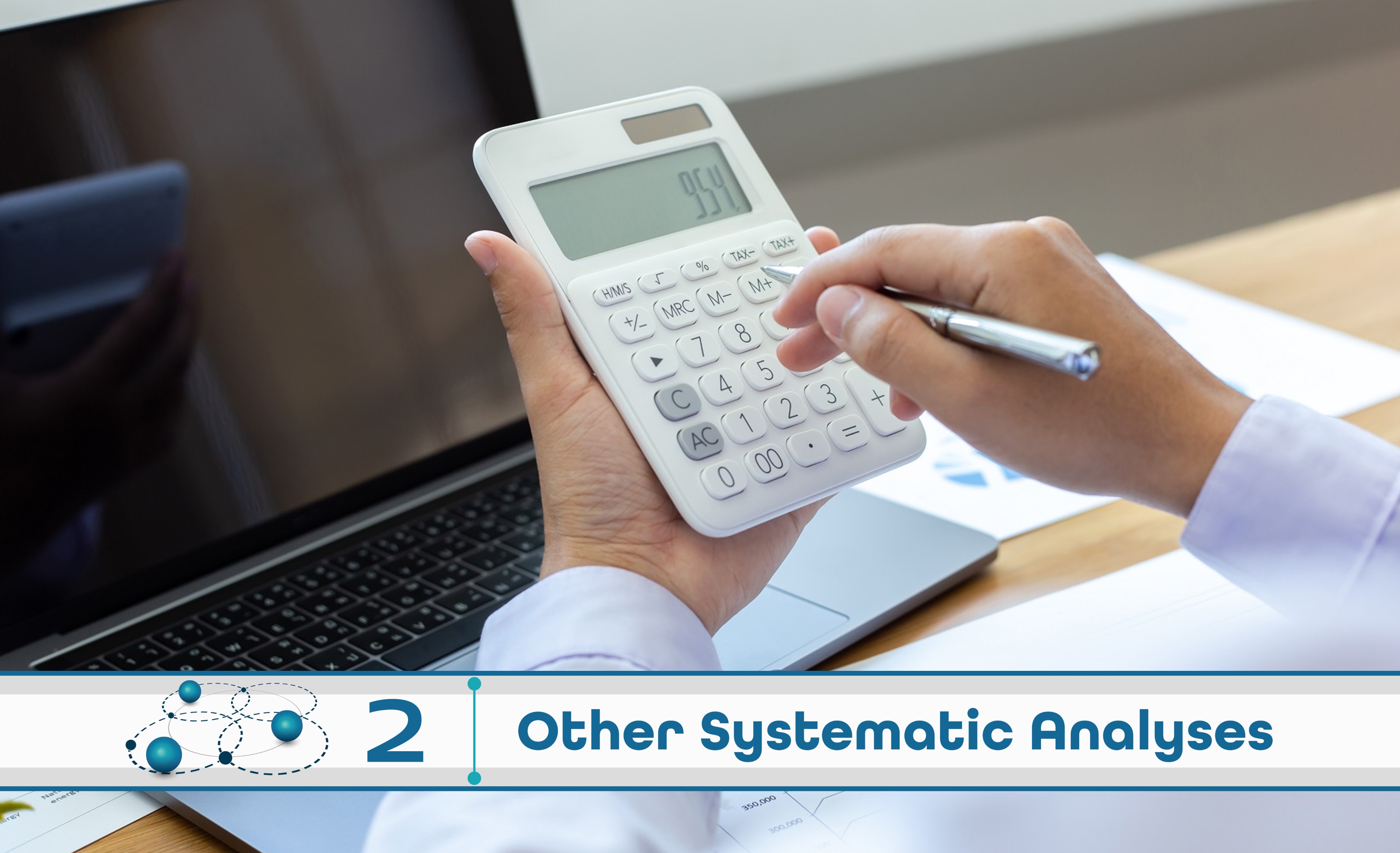 Level 2: Other Systematic Analysis