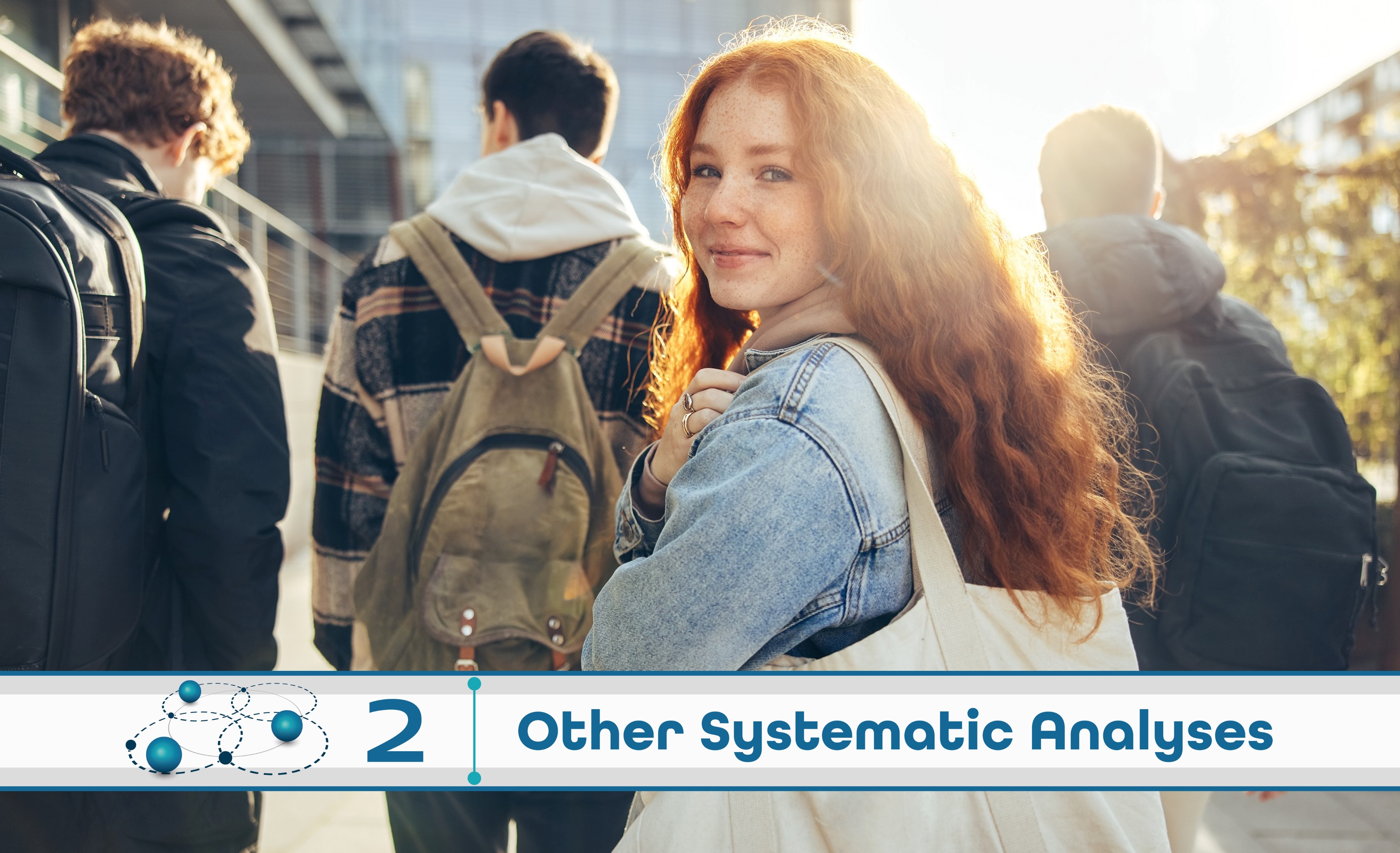 Level 2: Other Systematic Analysis
