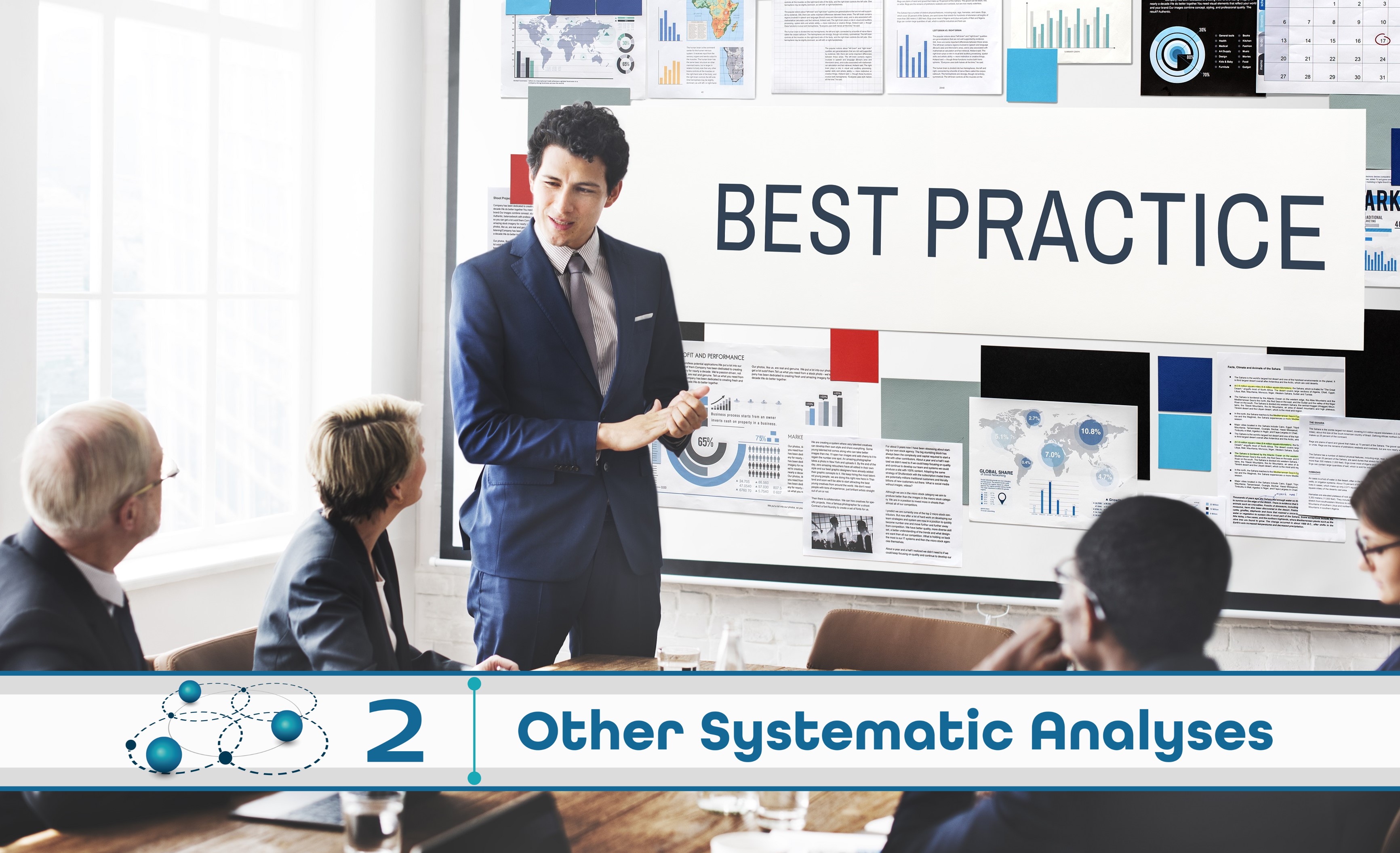 Level 2: Other Systematic Analysis