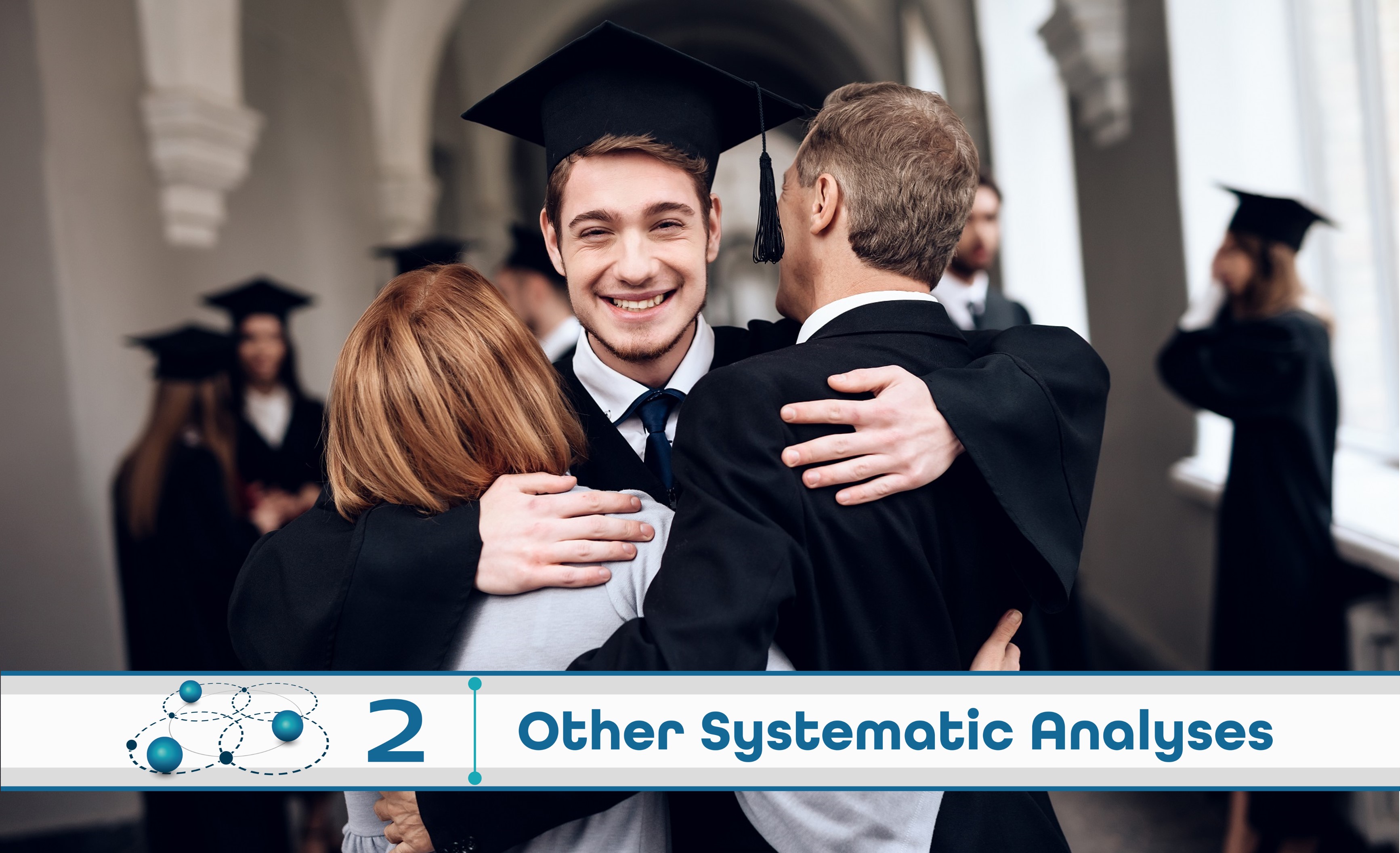 Level 2: Other Systematic Analysis