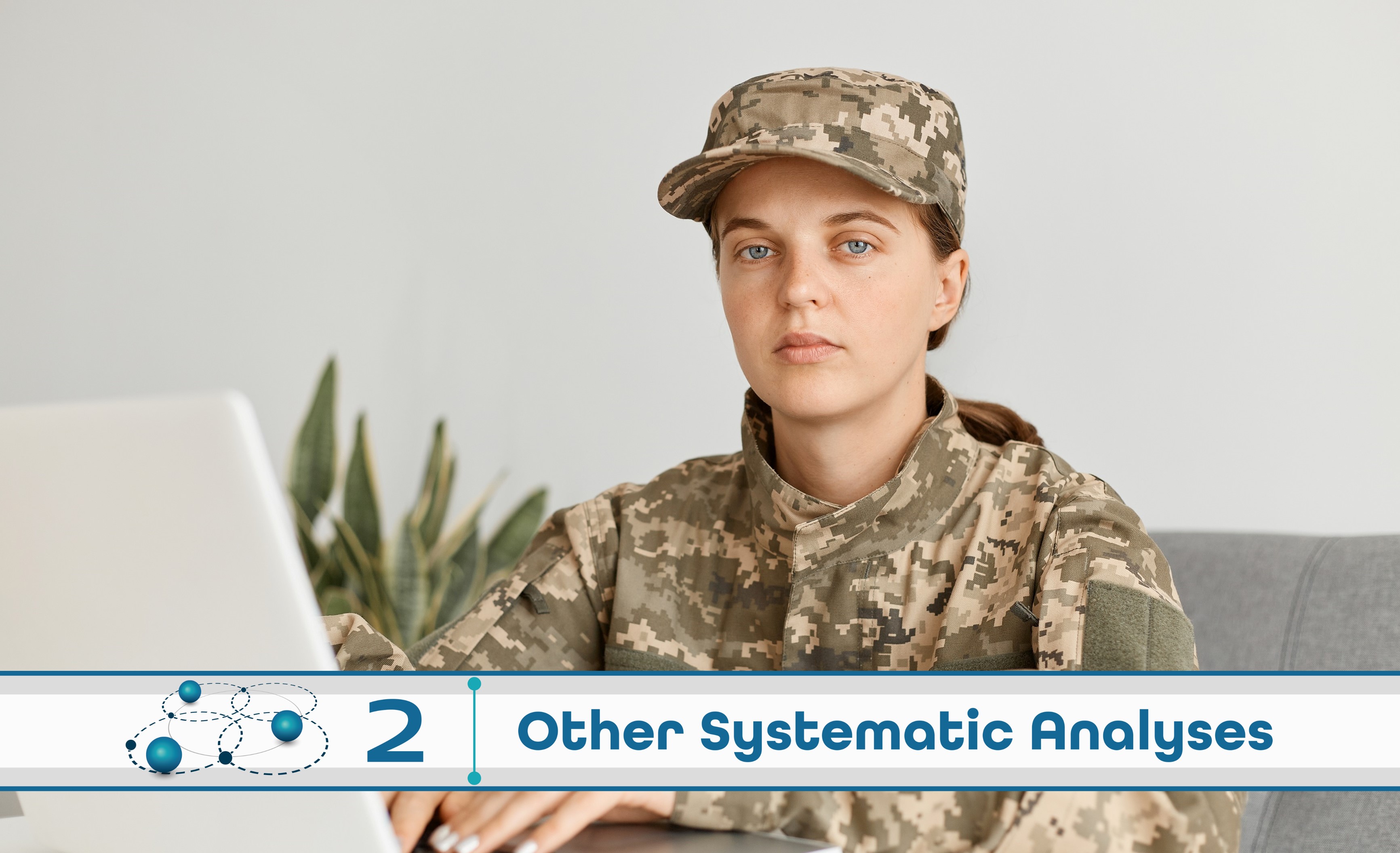 Level 2: Other Systematic Analysis