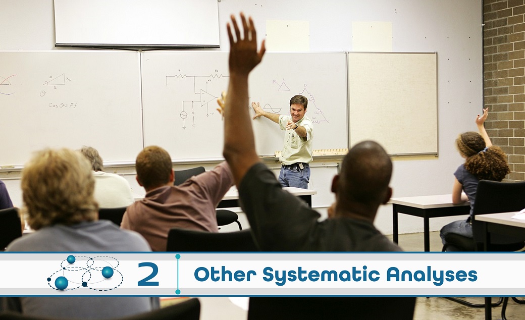 Level 2: Other Systematic Analysis