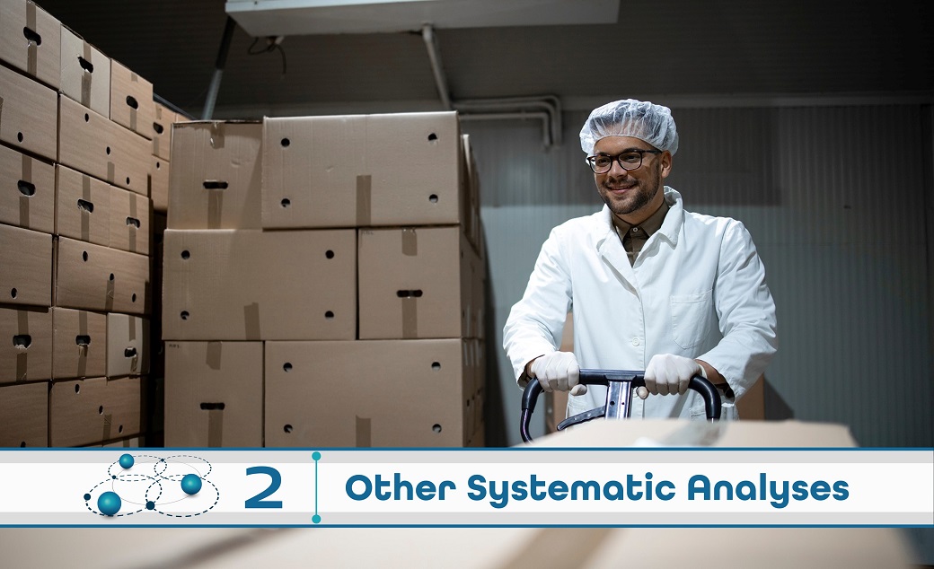 Level 2: Other Systematic Analysis
