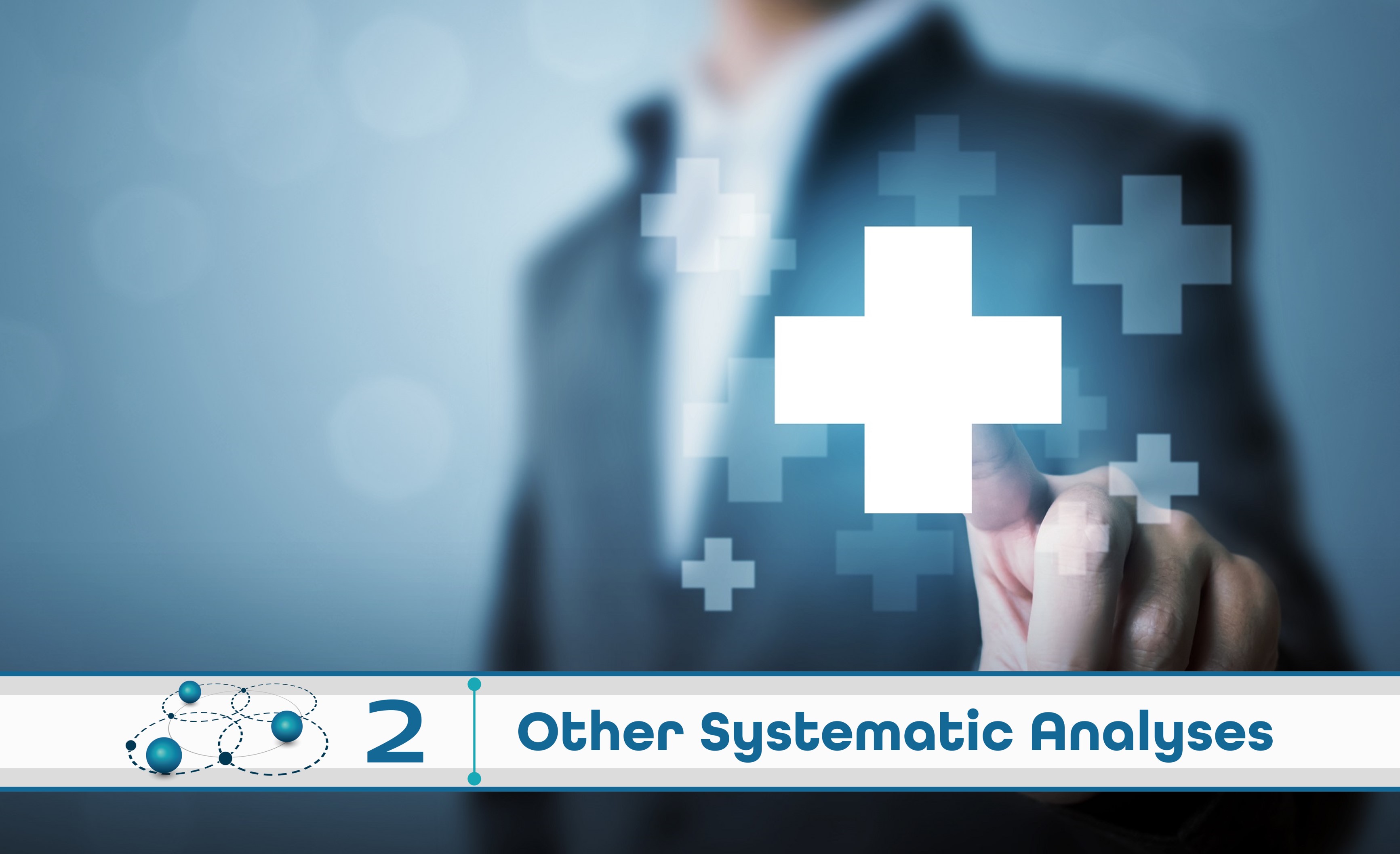 Level 2: Other Systematic Analysis