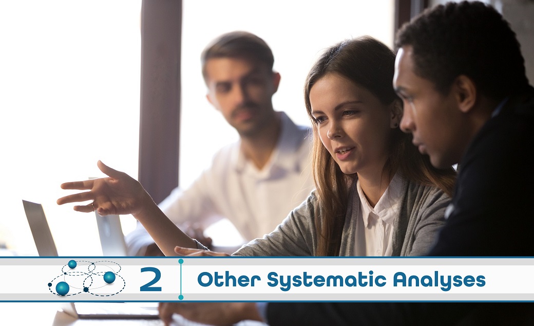 Level 2: Other Systematic Analysis
