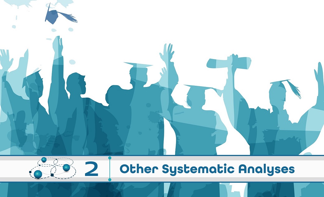 Level 2: Other Systematic Analysis