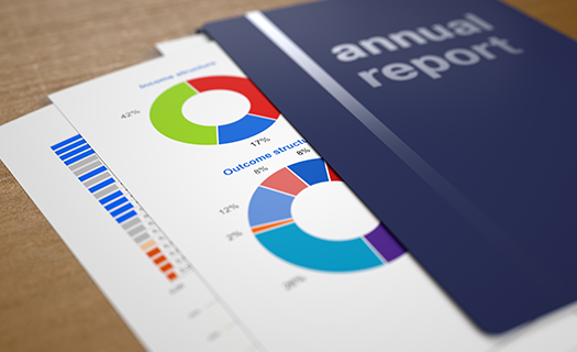 image of an annual report with graphs