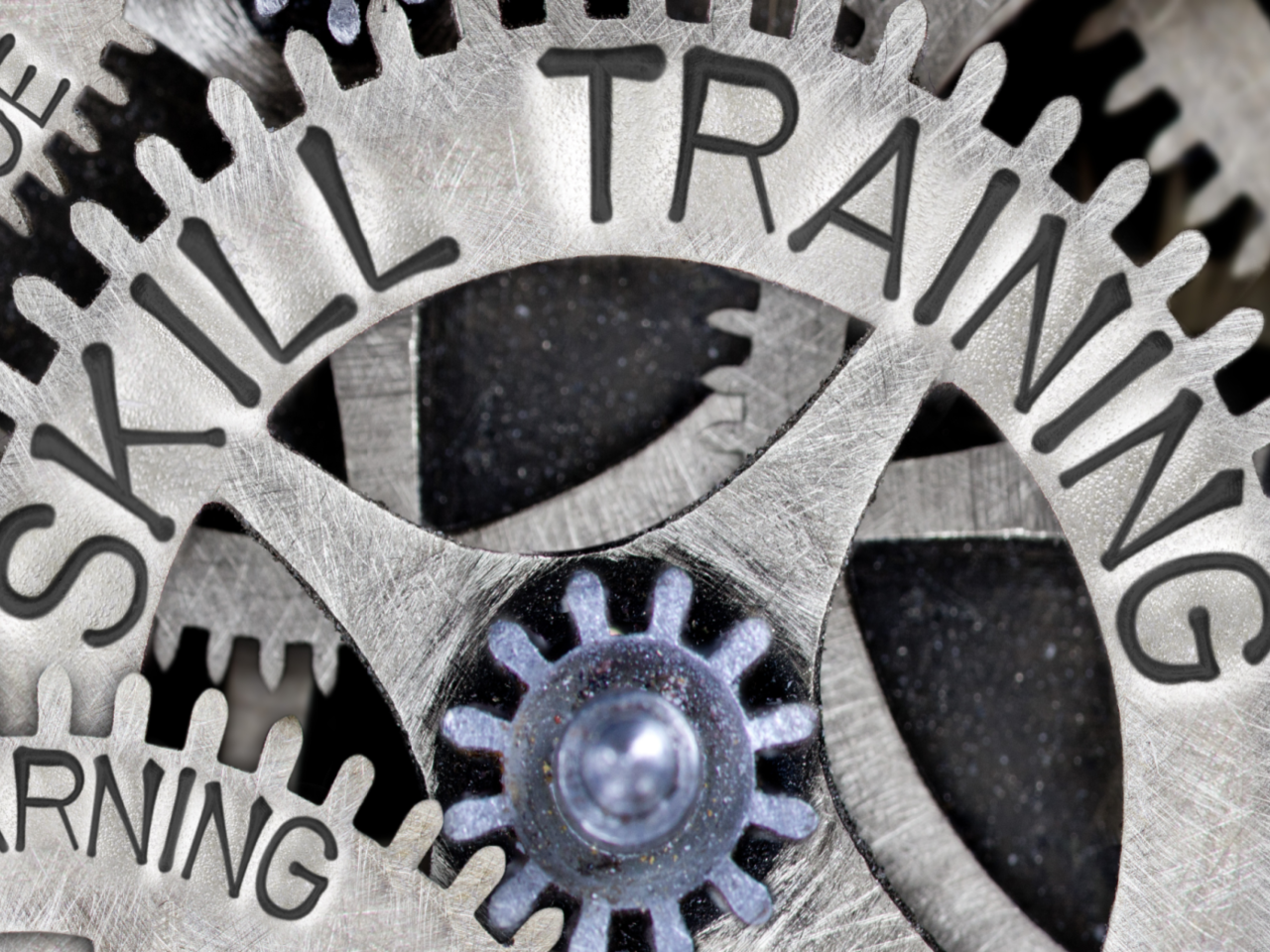 Trade Adjustment Assistance Thumbnail