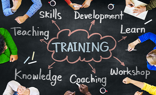 Written words including training, skills, development, and coaching