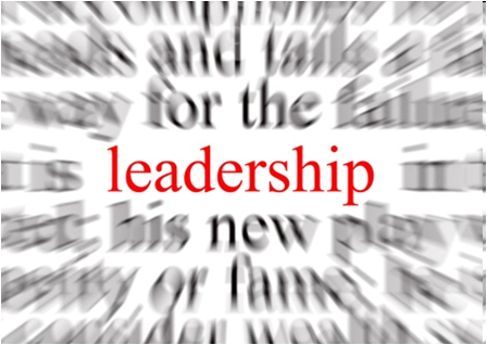 Picture of the word "leadership" in red text