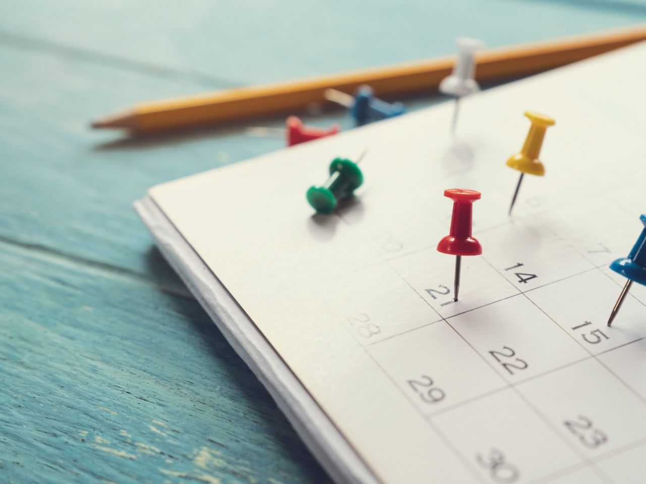 Calendar and pins