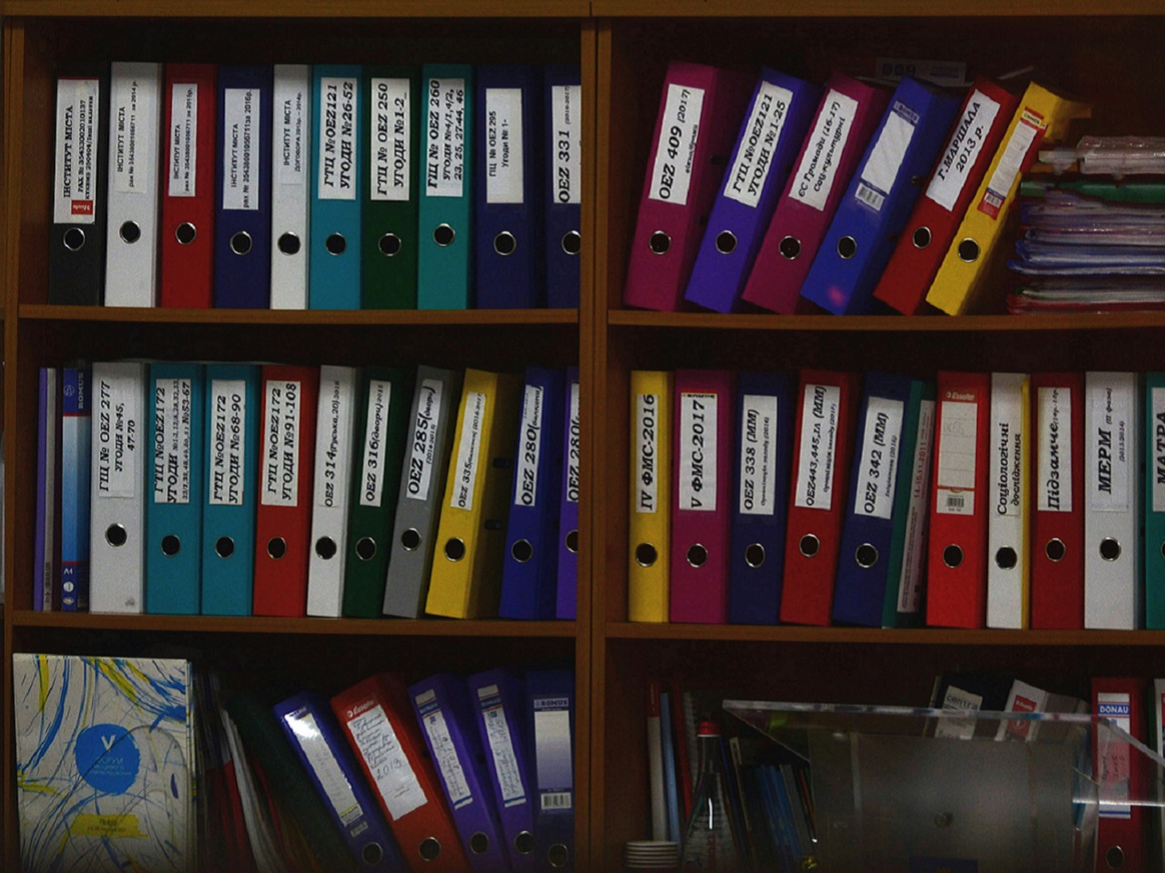Binders on a library shelf