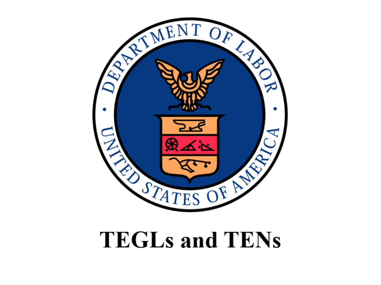 DOL color logo with text "TEGLs and TENs"