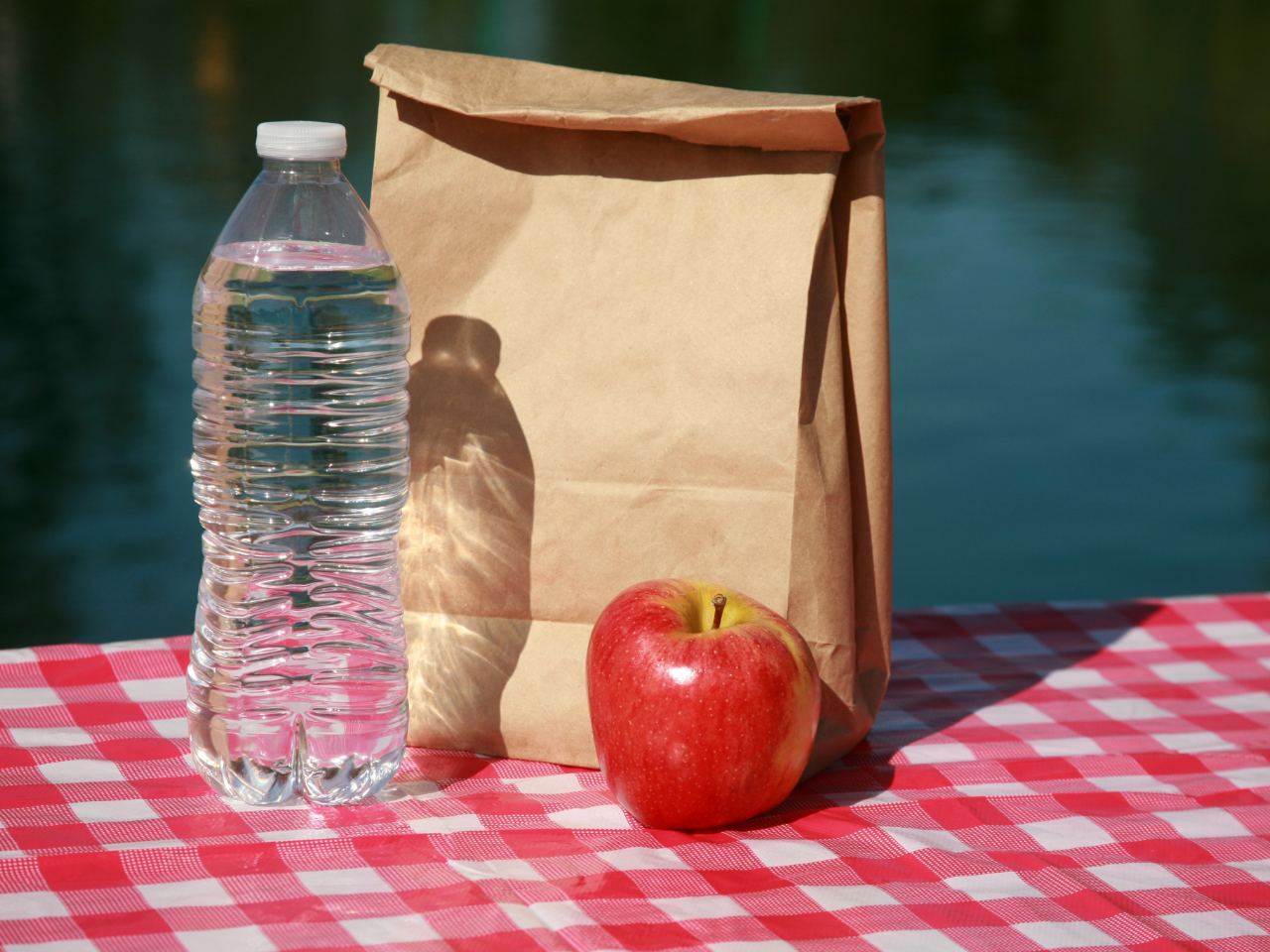 Brown paper bag lunch with water bottle and apple