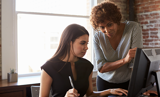 two businesswomen-working on computer.png