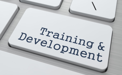 training and development