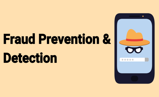 Fraud Prevention and Detection