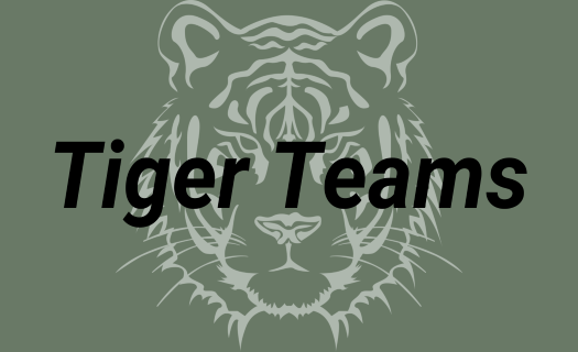 Tiger Teams