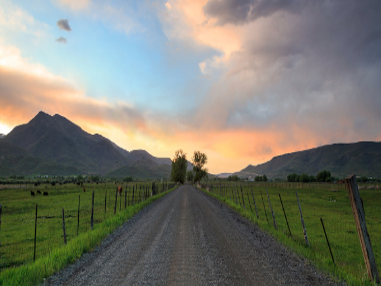 Rural
