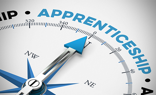 apprenticeship-compass.png