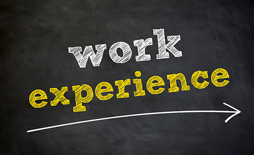 work-experience.png