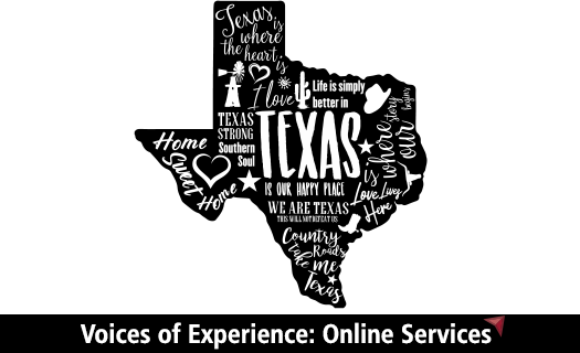 VOE ONline services