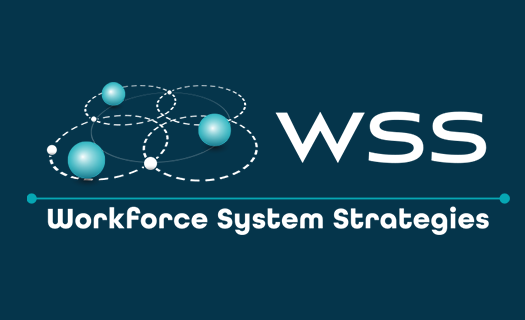 Workforce System Strategies Image